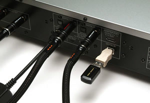 USBターミネーター RUT-1 | Acoustic Revive